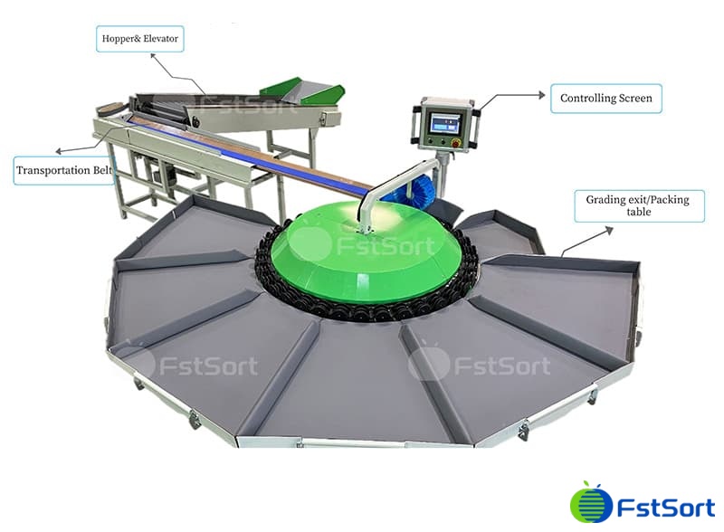 rotary sorter grader.jpg rotary sorter grader.jpg